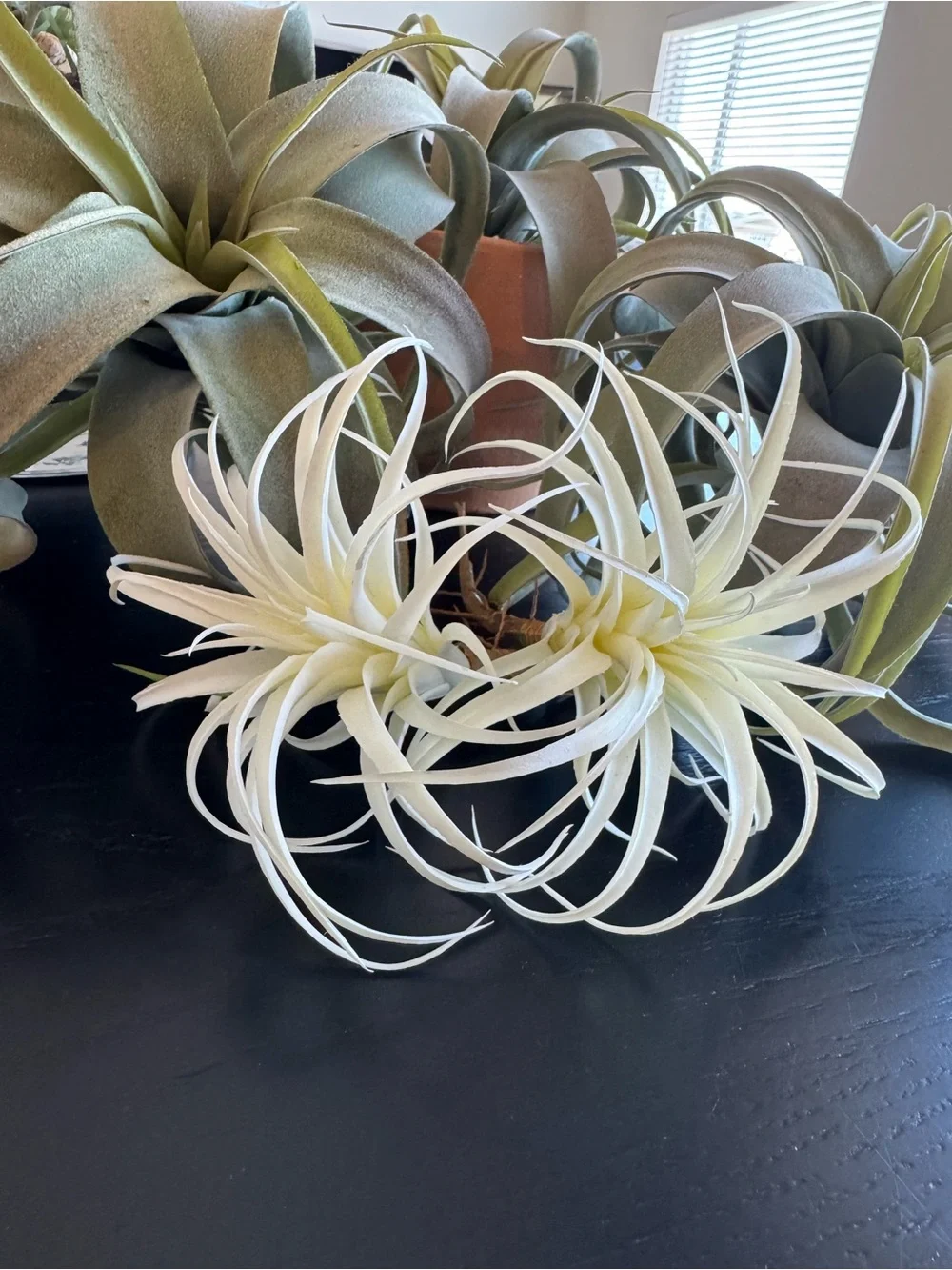 Artificial Air Plants. Large & Small *pot not included*